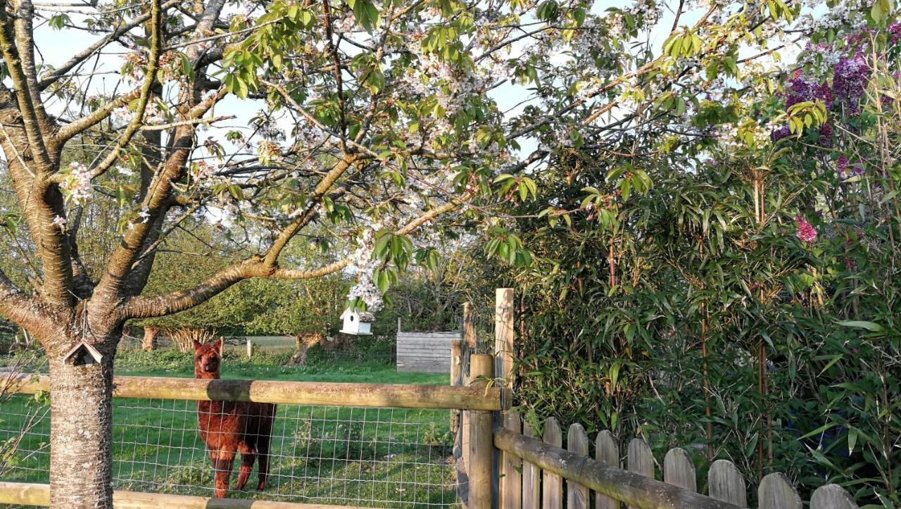 مبيت وإفطار أونفلور L'Arbre A The المظهر الخارجي الصورة